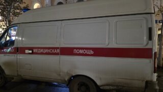    Элина Болдырева Юлия Виноградова