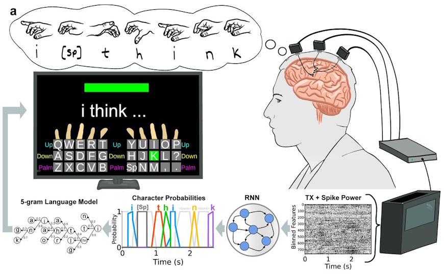 Участник исследования «набирает» предложение, представляя движения пальцев, соответствующие раскладке клавиатуры на мониторе. Вероятности символов прогнозируются рекуррентной нейронной сетью (RNN) на основе активности нейронов. Credit: BrainGate, Leigh Hochberg, Daniel Rubin and Justin Jude | Пресс-релиз Nature