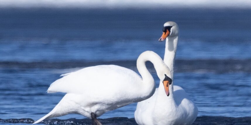    t.me/astrophotoboloto