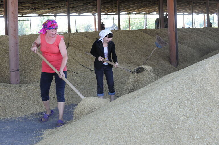  Юрий Инякин/«Парламентская газета»