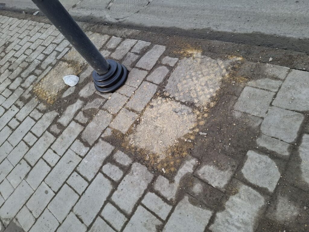    Фото: Александр Асадчий