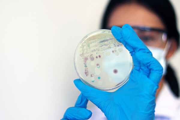 Arpon Pongkasetkam/Shutterstock/FOTODOM   📷