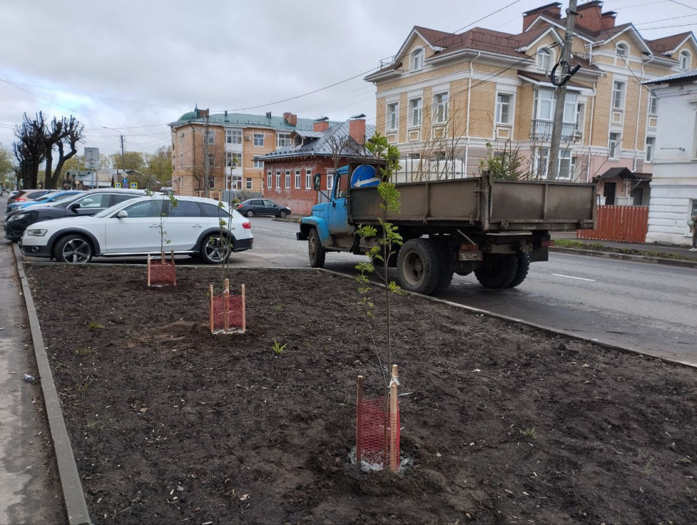    Фото: grad.kostroma.gov.ru