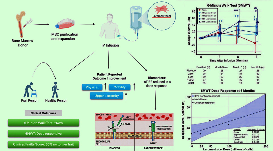   N + 1; Jorge G. Ruiz et al. / Cell Stem Cell, 2026