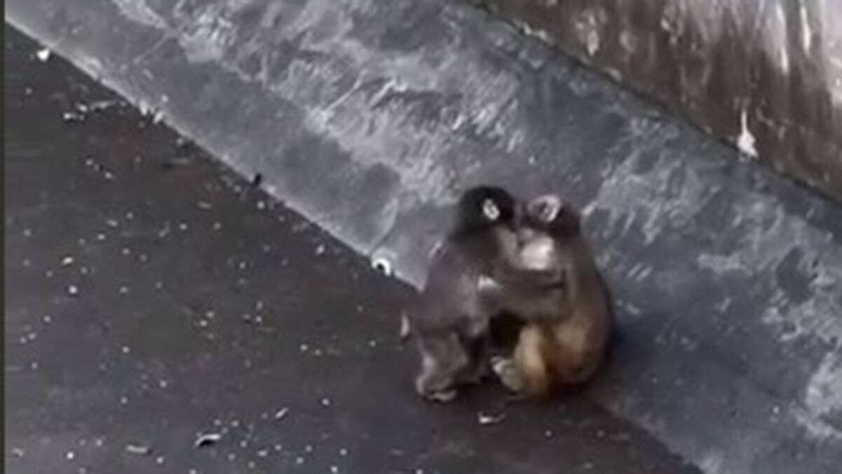    Фото: скриншот 360.ru