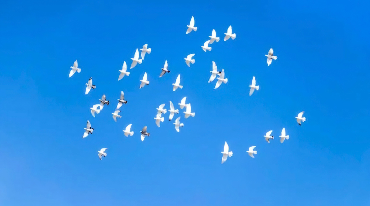 Изображение из открытых источников 