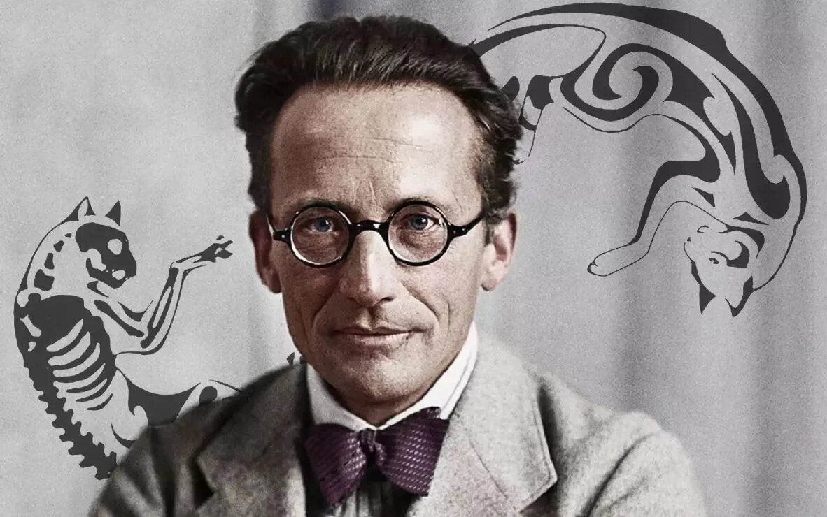 Шредингер с просторов инета