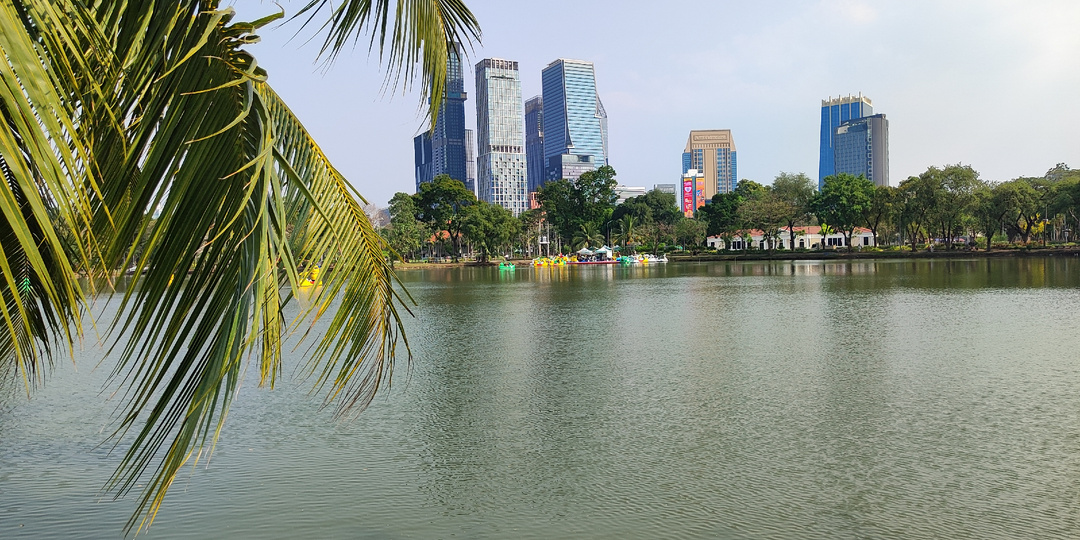 Воспоминания о зимнем лете. Бангкок: Вараны посреди города. Самая высокая смотровая площадка Mahanakhon SkyWalk со стеклянным полом