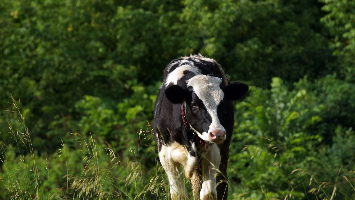    Фото: Сергей Егоров