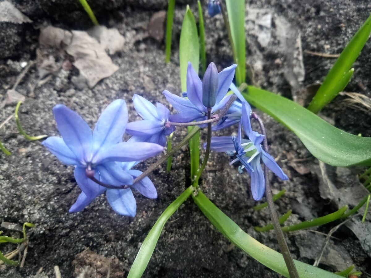 фото автора статьи