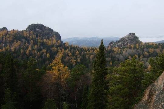    Экс-спецназовец повторил судьбу семьи Усольцевых и бесследно пропал в тайге (фото: Wikimedia Commons / Graham Racher)