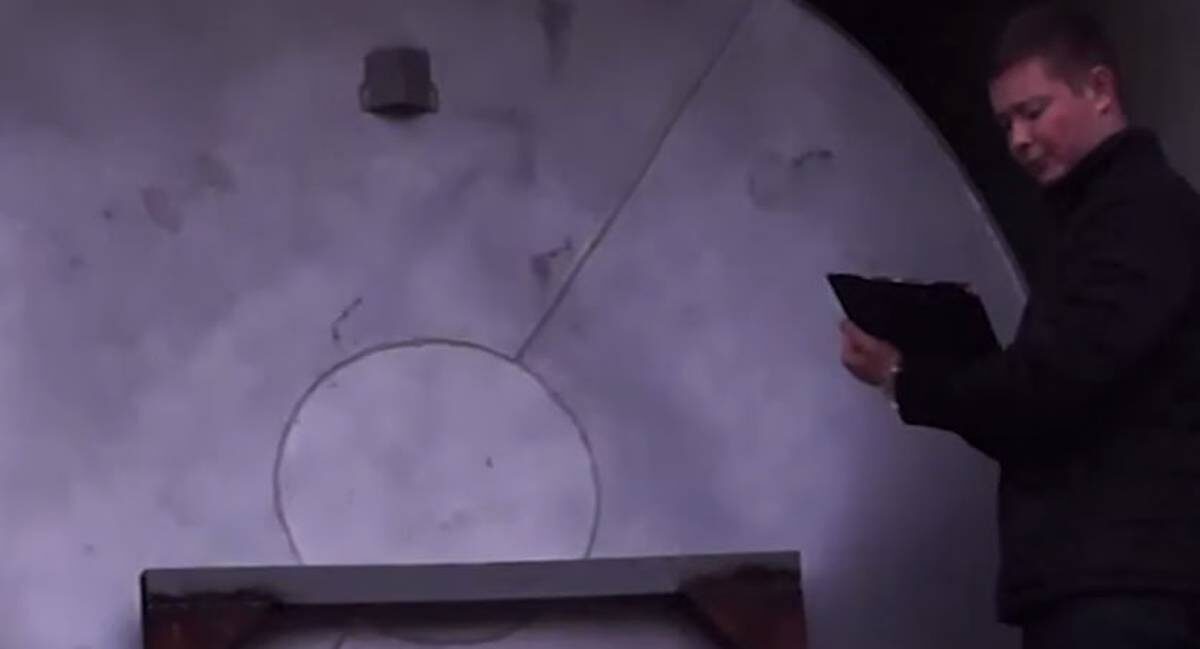    Фото: Скриншот видео / Ирина Волк / Telegram