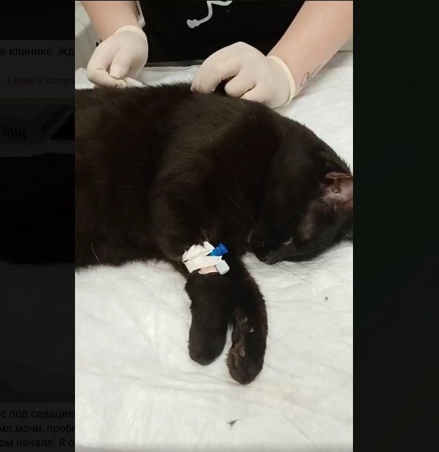 Марс в клинике   -----------> можно листать