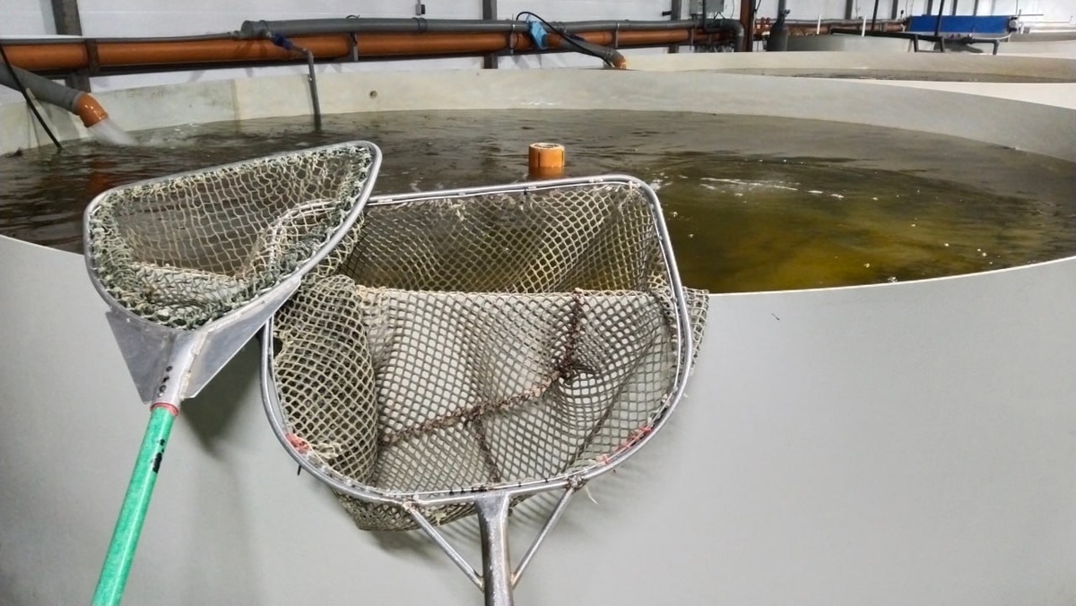 Фото: Полина Асланова