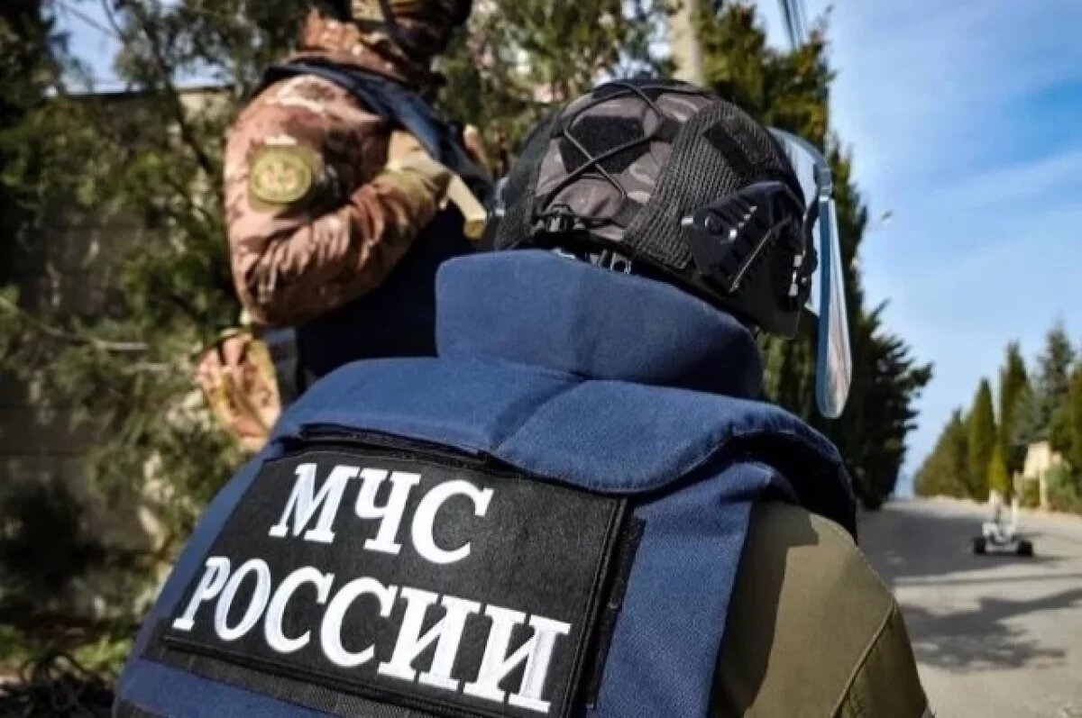    Сотрудники МЧС обезвредили упавший беспилотник под Севастополем