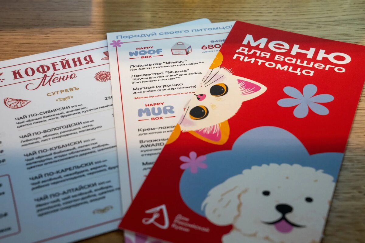 Фото не содержит рекламного характера