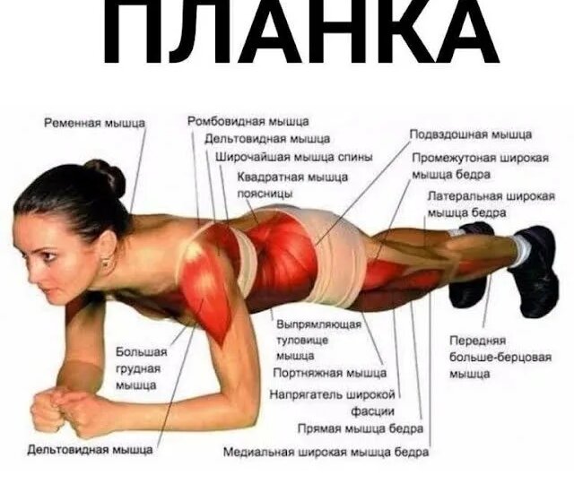 Планка: польза и вред для здоровья, техника выполнения и частые ошибки