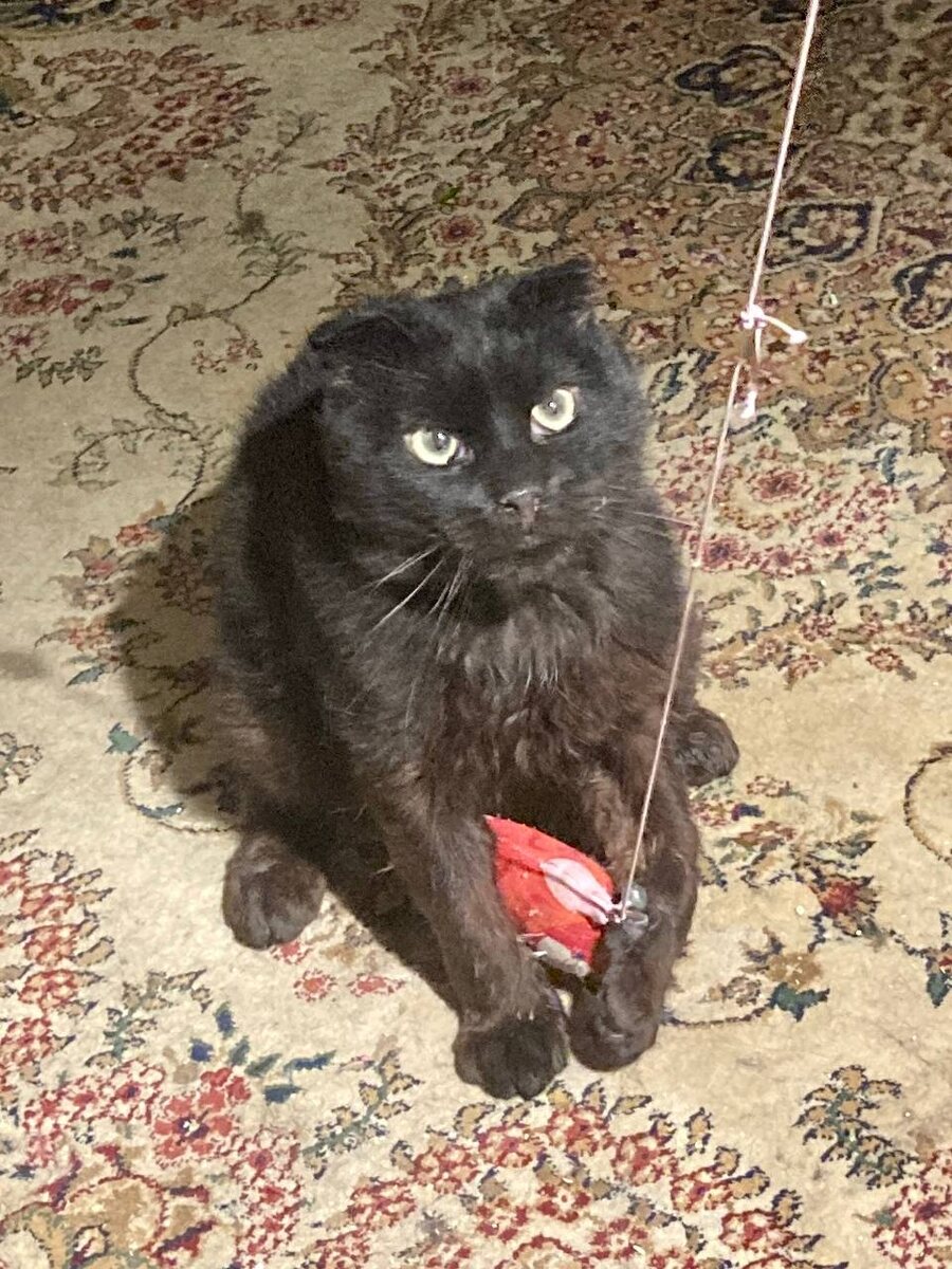 Вот я везунчик! Хорошо как устроился:)