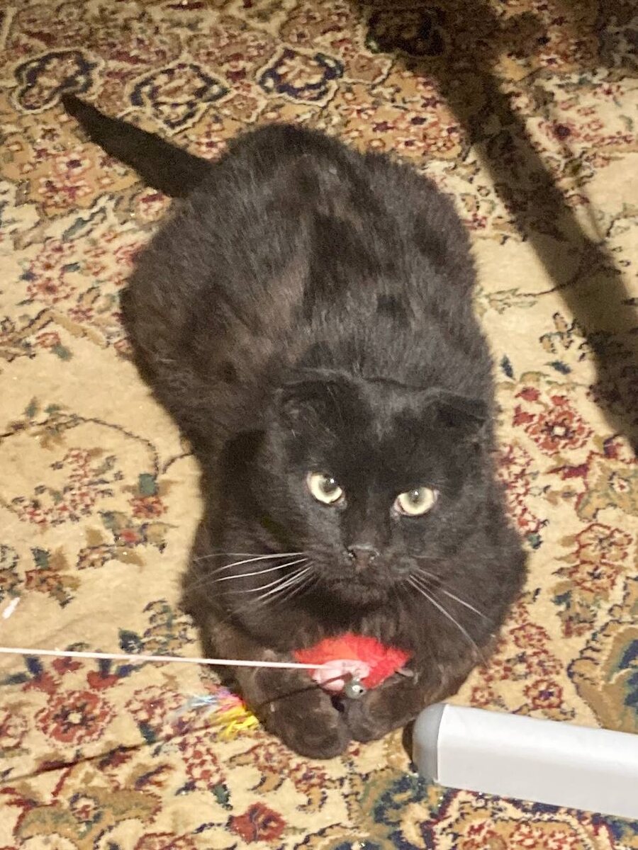 Это я еще не разошелся!