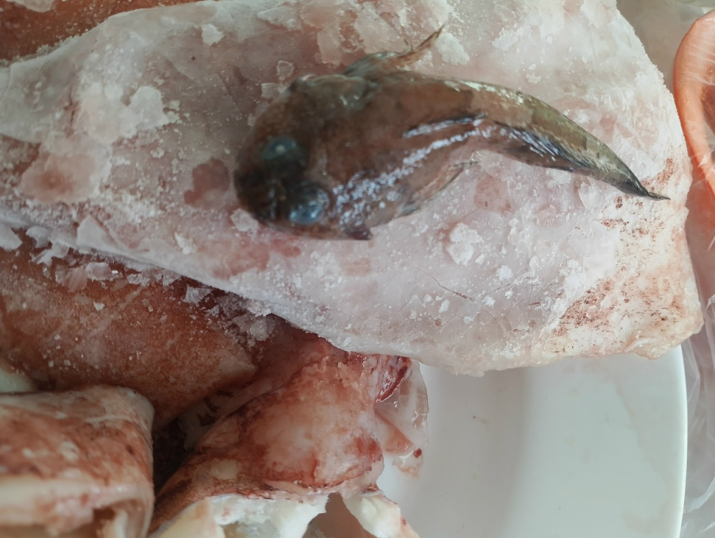  Фото: Злой ижевчанин.