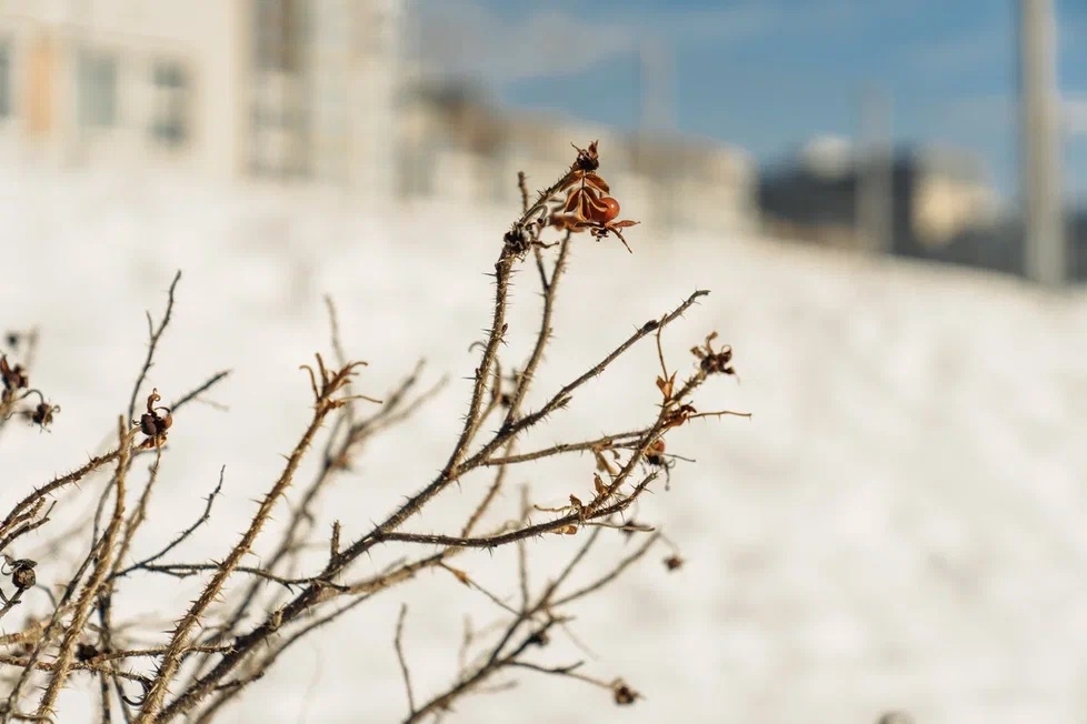    Встреча Путина с Бречаловым, рыба в кальмаре и отключение интернета весной и летом: что обсуждают ижевчане в соцсетях 17 марта
