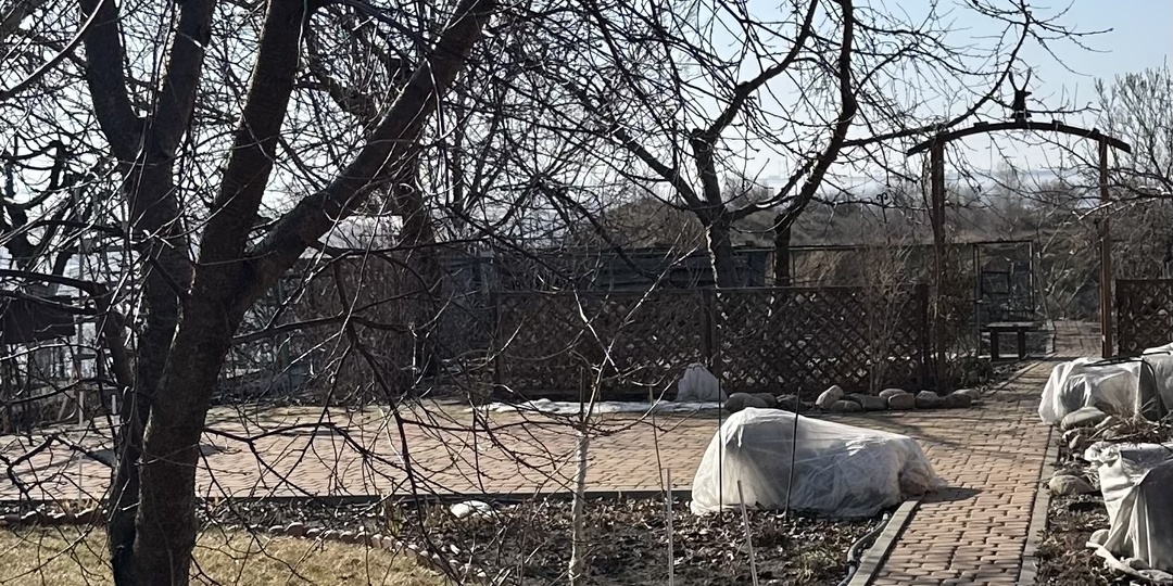 Сегодня. обсудим основные моменты по обработкам сада весной, которые , судя по вопросам моих читателей и друзей, многие не понимают.