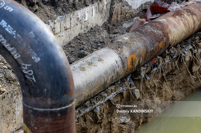    Фото: Дмитрий Кандинский / vtomske.ru