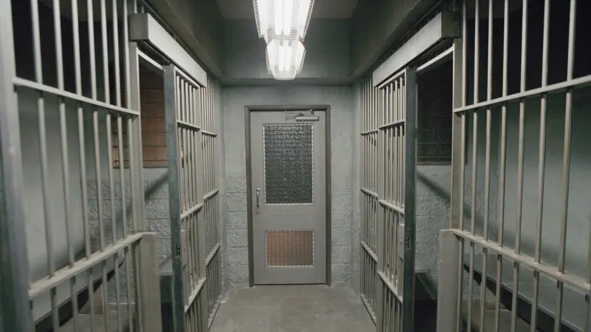    Источник: russian.rt.com Виктор Павлов