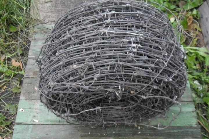 Изображение взято с просторов Интернета