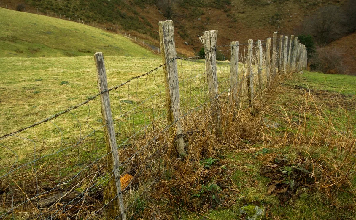 Изображение взято с просторов Интернета