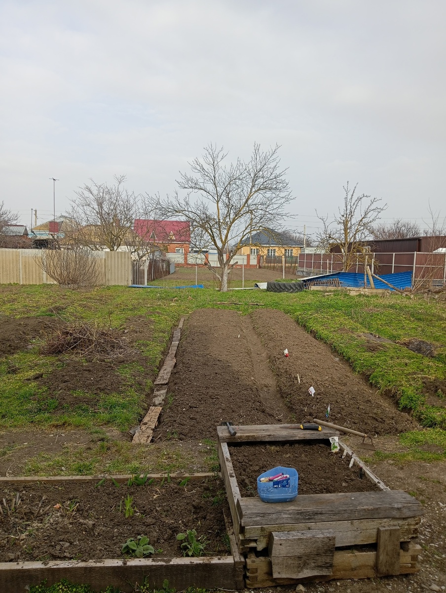 Фото автора, уже подкопаный огород