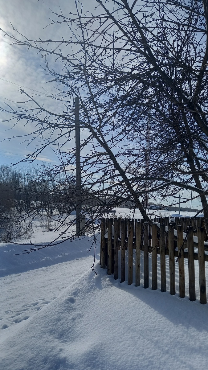 Вот моя деревня и палисадник с яблонями