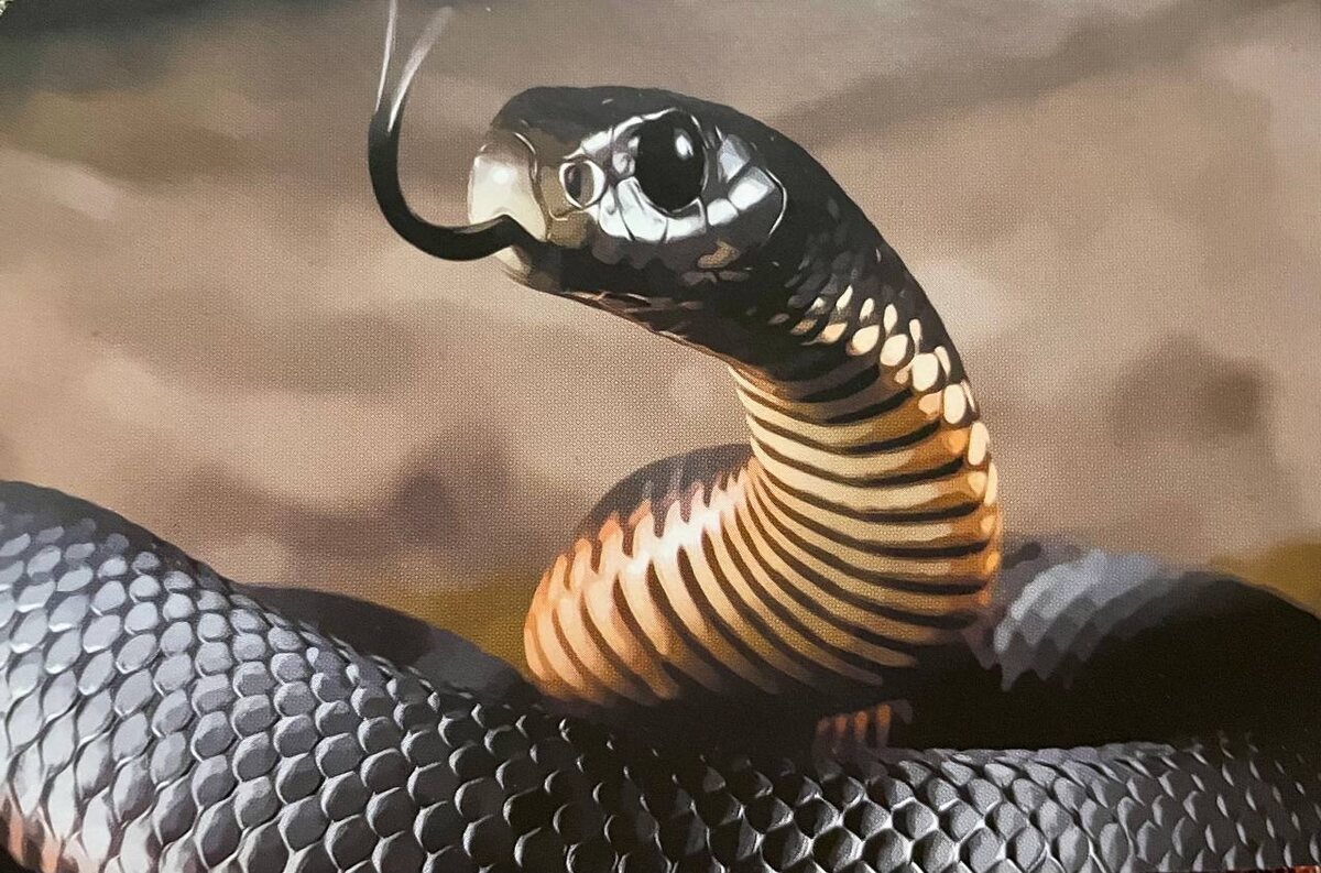 Карты из колоды "Мысли и чувства 2" от EZOTERIUM | саморазвитие