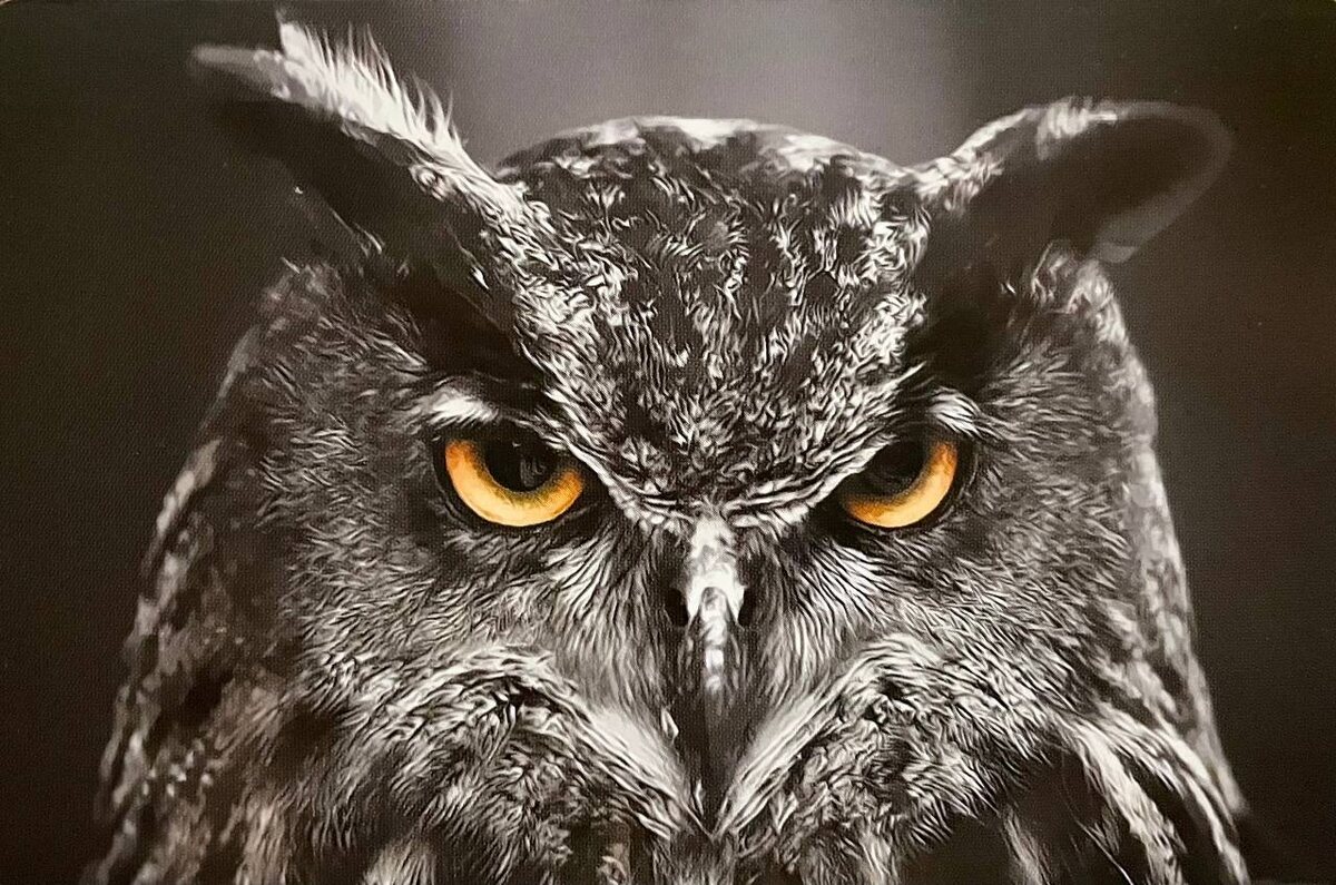 Карты из колоды "Мысли и чувства 2" от EZOTERIUM | саморазвитие