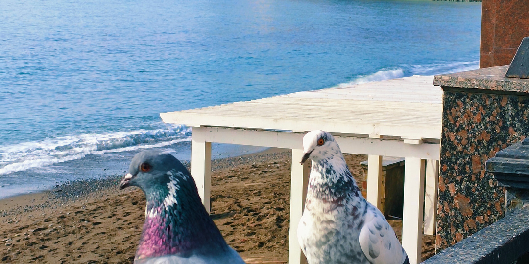 В Крым пришла весна ,Судак сегодня