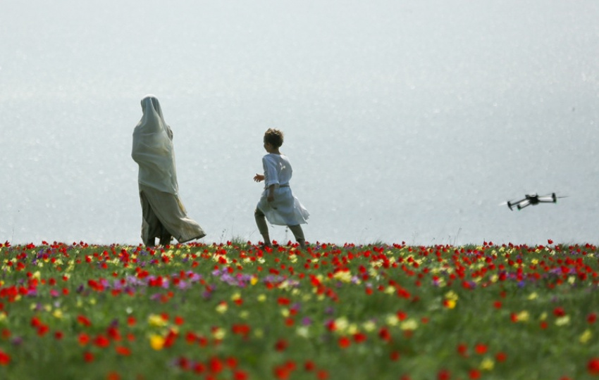 Часть сцен нового исторического сериала «Князь Андрей» сняли на востоке Ростовской области на тюльпанных полях