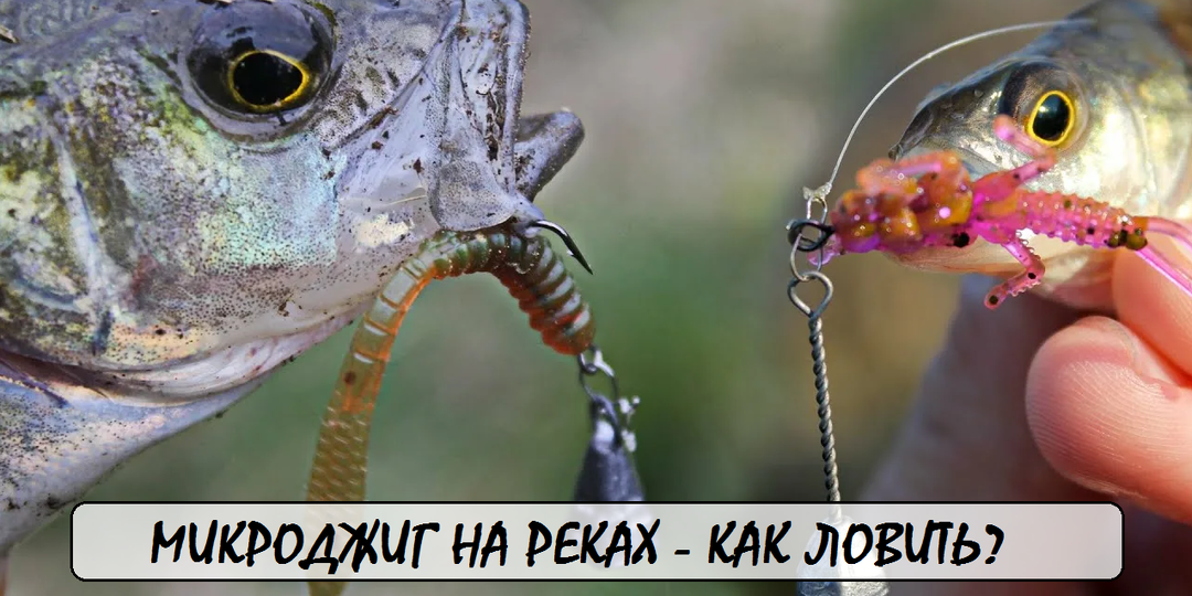Микроджиг на микрореках: окунь и голавль там, где их не ждешь 🎣