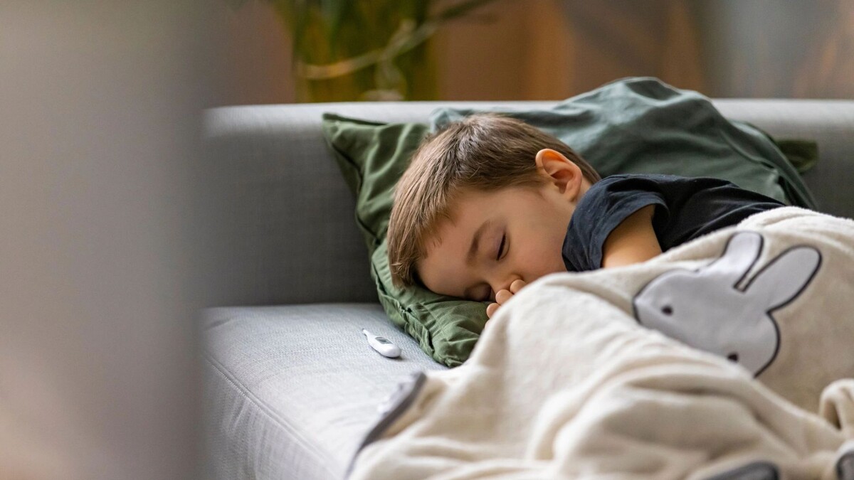    Фото: Dragana Gordic / Shutterstock / Fotodom