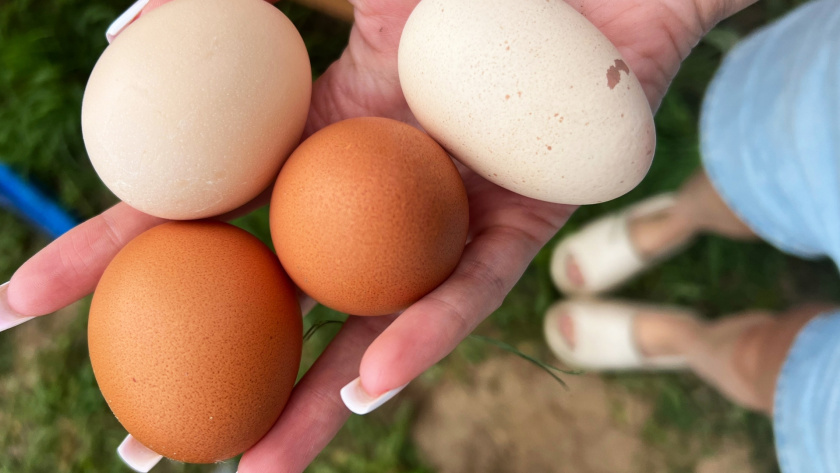    Архив редакции