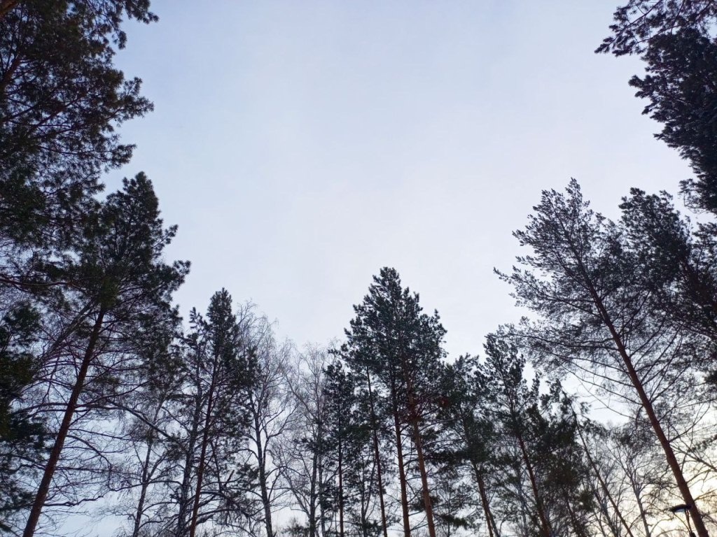    Фото Анны Сентяковой