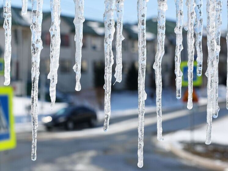     Фото: Андрей Ткачёв/«Ямал-Медиа»