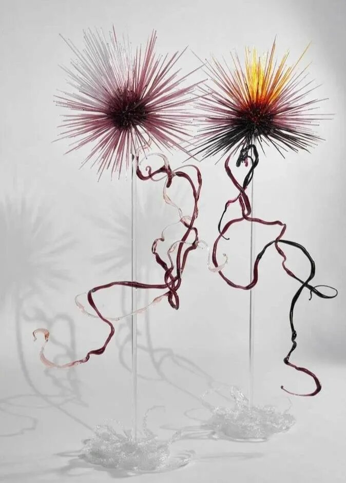 Источник фото: пресс-служба