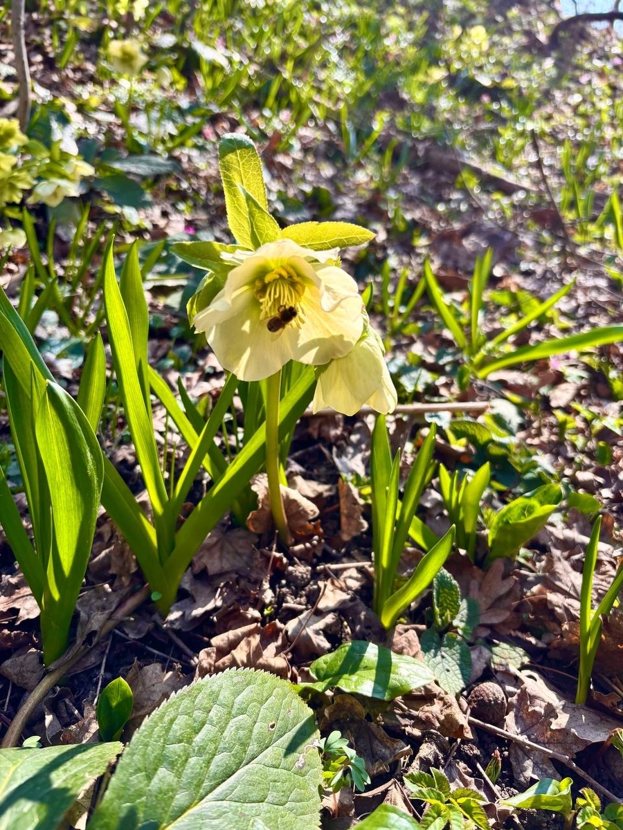 Фото: Вера КОРНИЕНКО