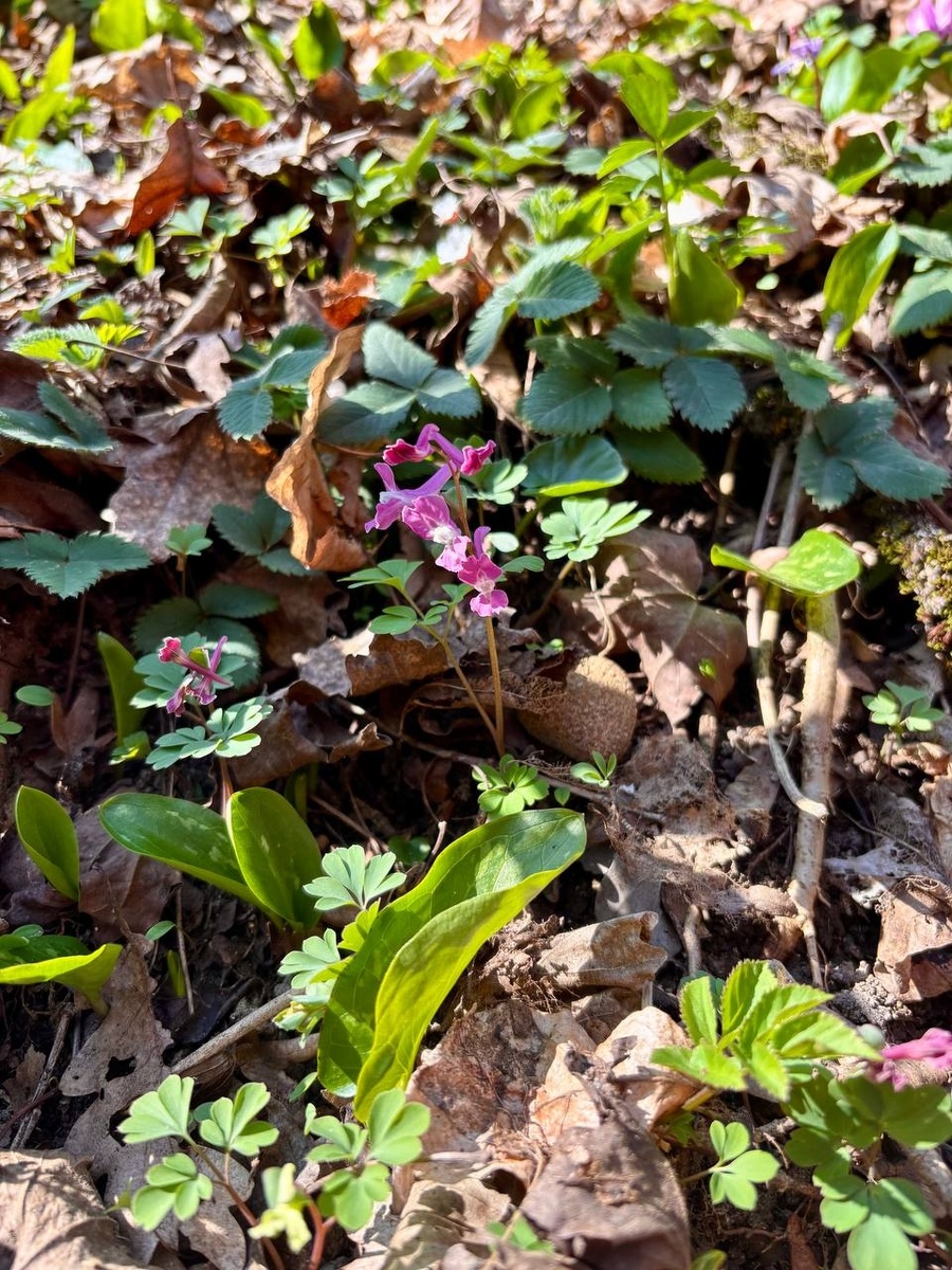 Фото: Вера КОРНИЕНКО