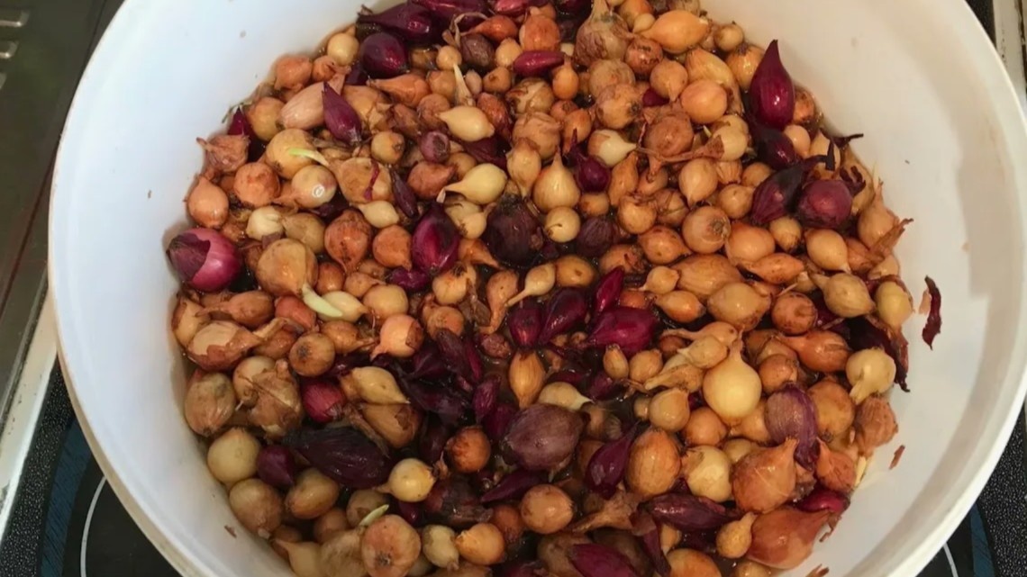 Обеззараживание занимает 20 минут. Защита от гнили на весь сезон.