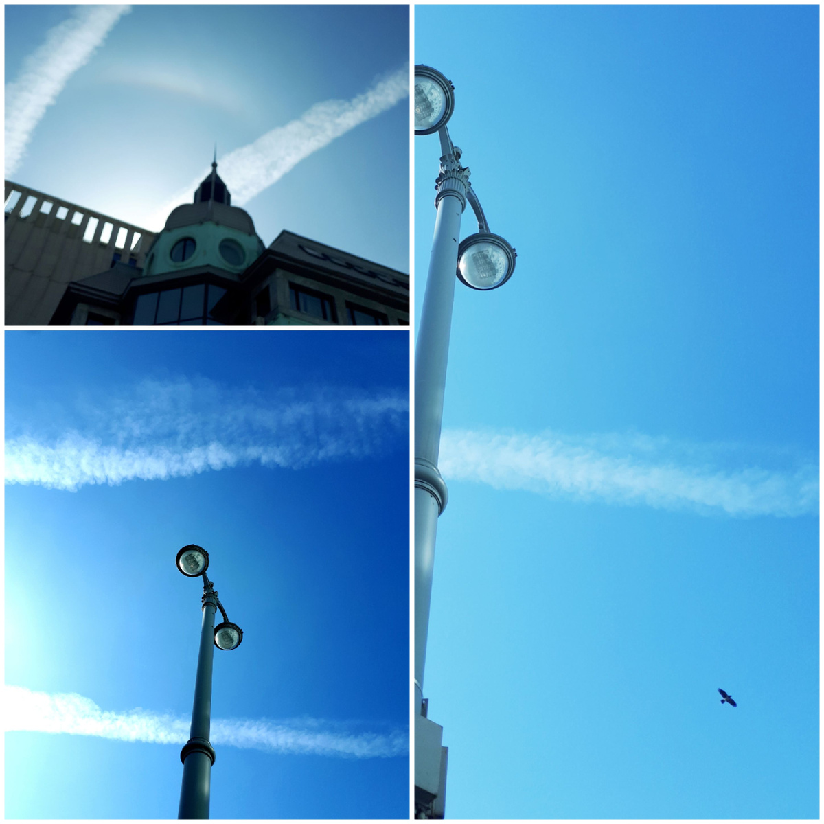 Коллаж автора 17.03.2026г.