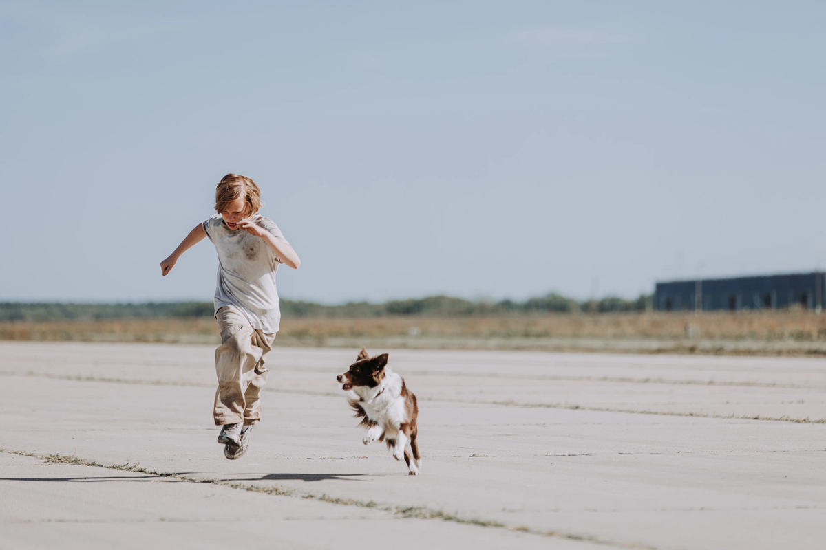 Главный герой и его питомец