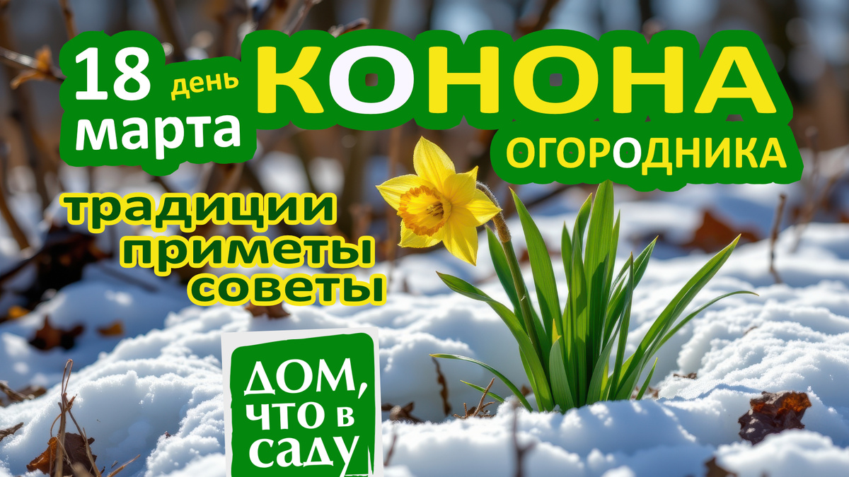 Дом, что в саду