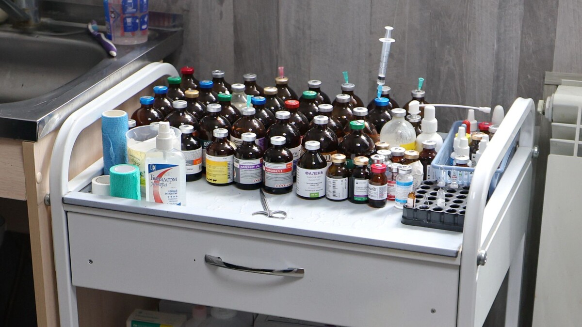    Фото: Андрей Ткачев / «Ямал-Медиа»