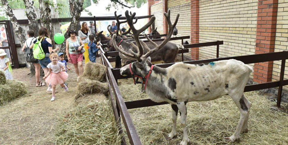 г.Омск. Агровыставка. Самое впечатляющее мероприятие для взрослых, а главное для детей.